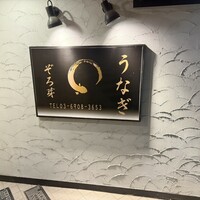 うなぎ 目白ぞろ芽 - 