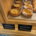 セイルノッツ - 