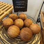 セイルノッツ - 