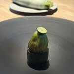 レスピラシオン - ズッキーニ　花に七面鳥