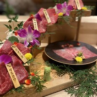 焼肉割烹 YP流 宗右衛門町本店 - 