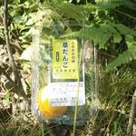 辻本朝日堂 - 草だんご　みかんも入れていただきました。晩秋の吉野