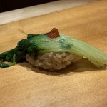 倉満 - カイワレ