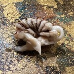 寿し道 桜田 - ゲソ