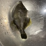 五島人 浜松町店 - 