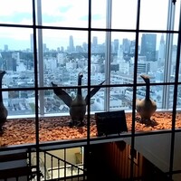 Benoit Alain Ducasse - 