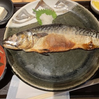 とろさば料理専門店 SABAR_1