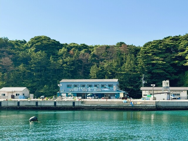 田代食堂 石巻市の海鮮料理 | 新鮮な海の幸を堪能