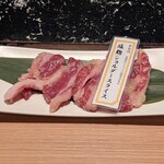 北とうがらし - 