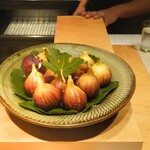 SUGALABO - 千葉松戸ファーム根本のいちじく