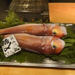 SUGALABO - 山口萩漁港海好丸甘鯛