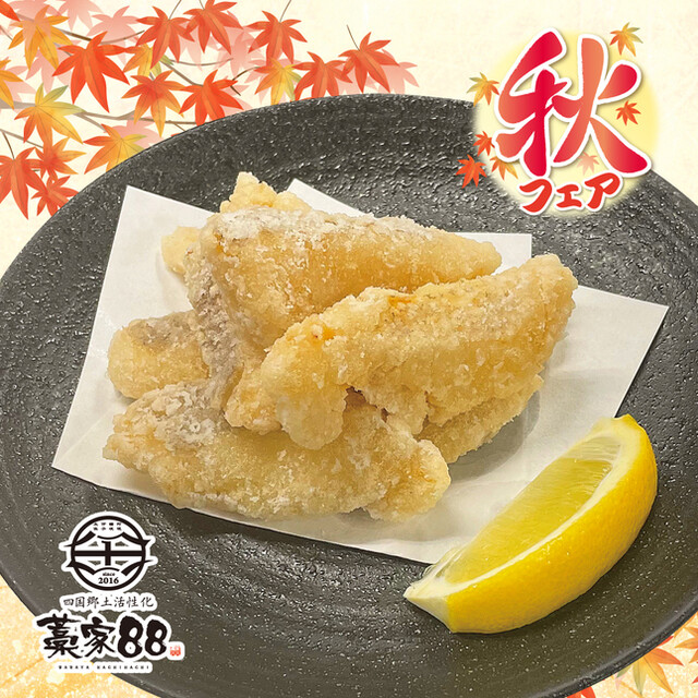 Shikoku Kyodo Kasseika Waraya 88 Higashi Okazaki Ten