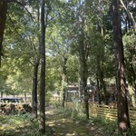 TOKYO CLASSIC CAMP CAFE - カフェへのアプローチ。