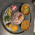 Curry Spice Gelateria KALPASI - 