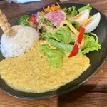 TOKYO CLASSIC CAMP CAFE - 「スリランカカレー」(豆)斜め上から。
