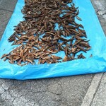 お食事処 やぶ - 料理写真: