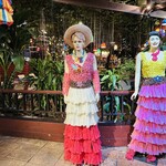 Cabbages & Condoms - 