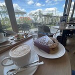 AOYAカンパーニュ - 