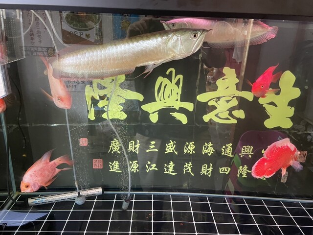 Chinese Ryori Hogen photo 4