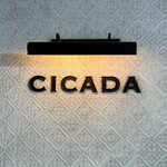 CICADA - 