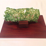 シック プッテートル - 