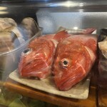 緩緩 - 高級魚キンキ