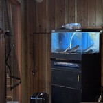 緩緩 - うなぎ水槽