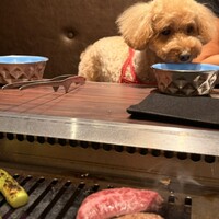 焼肉ぽんが 江ノ島 - 