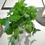 レストラン コバヤシ - コリアンダー