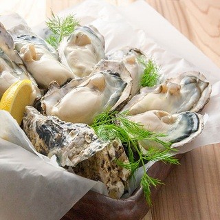 You can enjoy Oyster dishes all year round♪