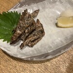 藁焼き鰹たたき明神丸 KITTE大阪店 - 