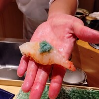 鮨西光 - 特大の牡丹海老