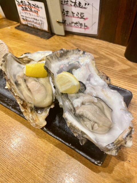 Shibuyakko Izakaya Tototoriton photo 3
