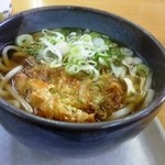 大谷パーキングエリア(下り)フードコート - かきあげうどんミニピリ辛鮭ごはんのかき揚げうどん