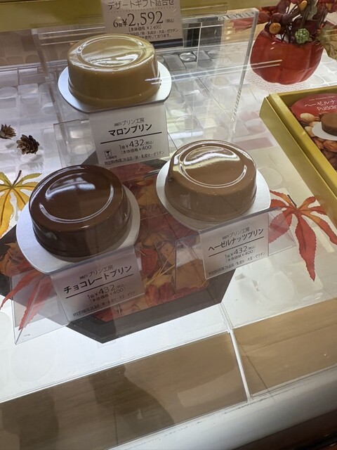 Goncharov Meitestu Hyakka Ten photo 2