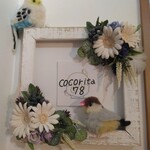 cocorita78 - 