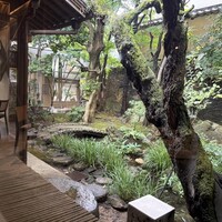 イノベーティブ フレンチ ワタハン - 