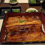 うなぎの館 天龍 上諏訪店 - 大きい鰻