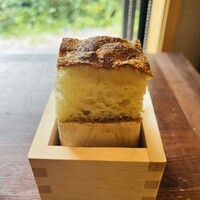 selvatico kidoguchi - 