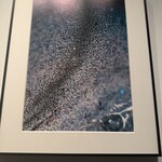 気仙沼-KUROMORI- - サメの皮①