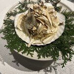 レフェルヴェソンス - 