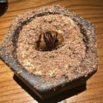 トムクリオーザ - ティラミス　アマゾンカカオ