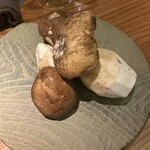 トムクリオーザ - 