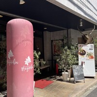 Magnolia - 