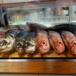 小魚料理 とみ助 - 目の前のネタケース。こりゃ注文するでしょ。