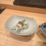 銀座 鮨 しょう介 - 