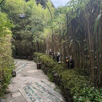 九つ井 本店 - 