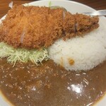 とんかつ檍のカレー屋 いっぺこっぺ 西新宿店 - 