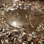 月島もんじゃだしや - 