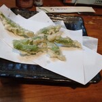 くすしゃん - シシトウ